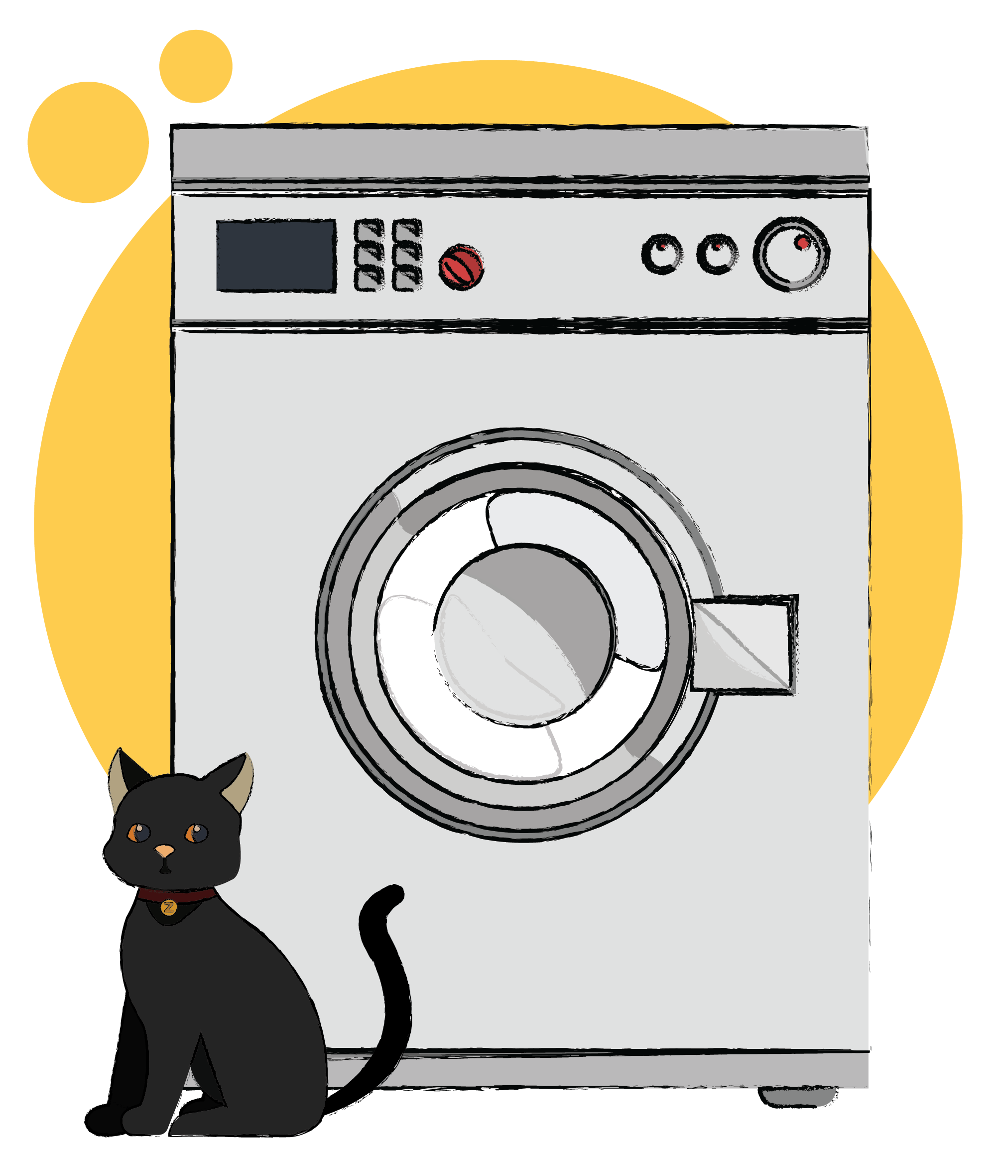 Image of a washing machine with a cat and laundry basket on top, showcasing one of the kitchen appliances we cover