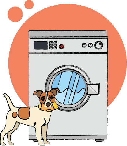 Washer dryer with a dog holding a sock – a kitchen appliance giving the impression of a busy family home