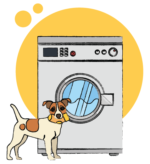 Image of a washing machine with a cat and laundry basket on top, showcasing one of the kitchen appliances we cover