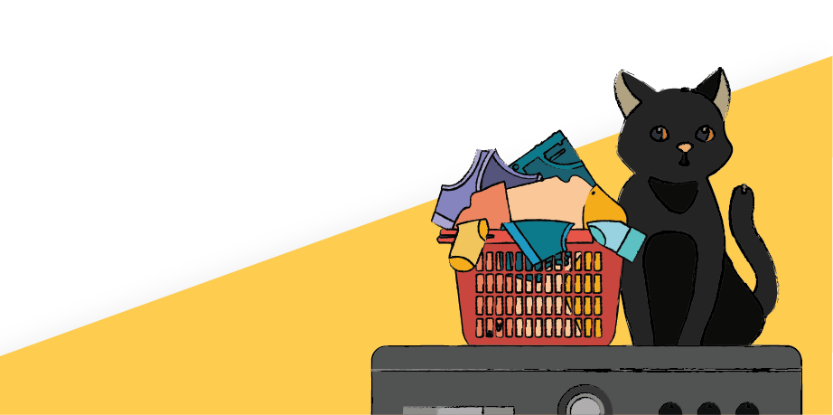Image of a washing machine with a cat and laundry basket on top, showcasing one of the kitchen appliances we cover